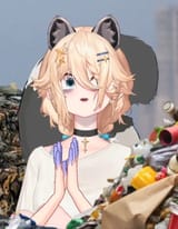 racoonmi