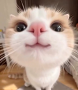3333