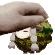 WatamelonPetAnimated01