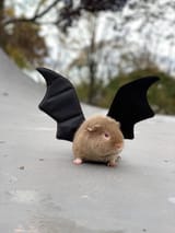 angle of darkness[sound=files.catbox.moe%2Ftikzco.mp3]