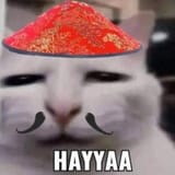 images (7)