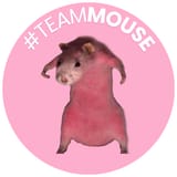 teammouse