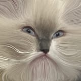 JohnFat