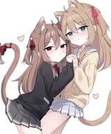 twin cats