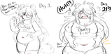 nova_polaris_bearly_fit_sequence
