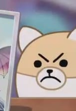 angery shibe