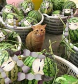 FB_IMG_1684425341232