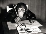 191007051951-chimp-paintings-sale