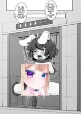 fdsfdsfdsa