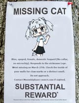 1746336518166104