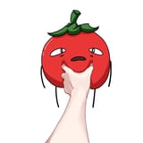 tomatohold