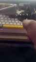 pippa connect_thumb.jpg