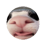 pphorb