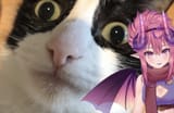 Peepeehead[sound=files.catbox.moe%2Fo61pjt.mp3]