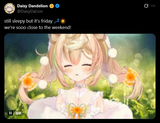 daisy