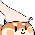 1722981502968498