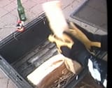 1725018771499380