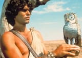 bubo