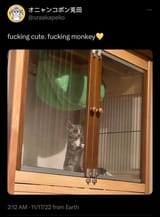 fucking-monke