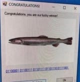 1641032786979