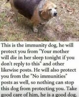 1749769499218858