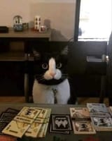 45