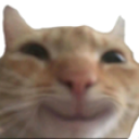 1691434019093422