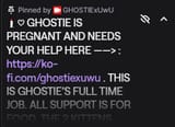 1736035903332295