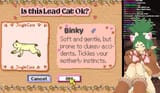 binky