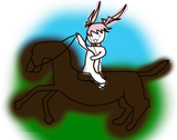 nomad Lia