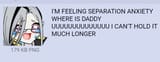 vespling separation anxiety