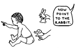 Pointtorabbit