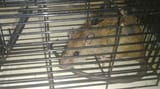 ResizedImage_2025-08-11_00-33-06_1679