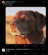 5678765674768