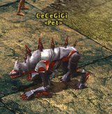 ccgg