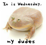 itiswednesdaymydudes
