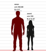 wemi height