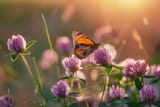 wild-flowers-clover-butterfly-meadow-600nw-2465821233