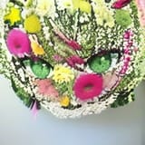 closeupLiaflowers