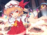 215569