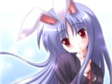 reisen-2xplus43crop