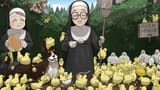 Little Nuns Ducklings