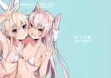 SummerDestroyers