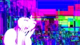 wpp_joy_of_a_jpeg