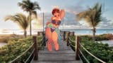 beachfrecks