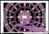 1695601636507661