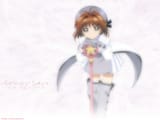 ccs02_l