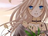 Flowers_2048