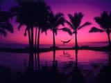 1031914-sunset-sea-reflection-sunrise-evening-morning-palm-trees-relaxation-relaxing-horizon-atmosphere-dusk-hammocks-tree-dawn-ocean-afterglow-arecales