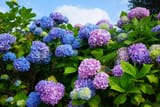 AdobeStock_122811954